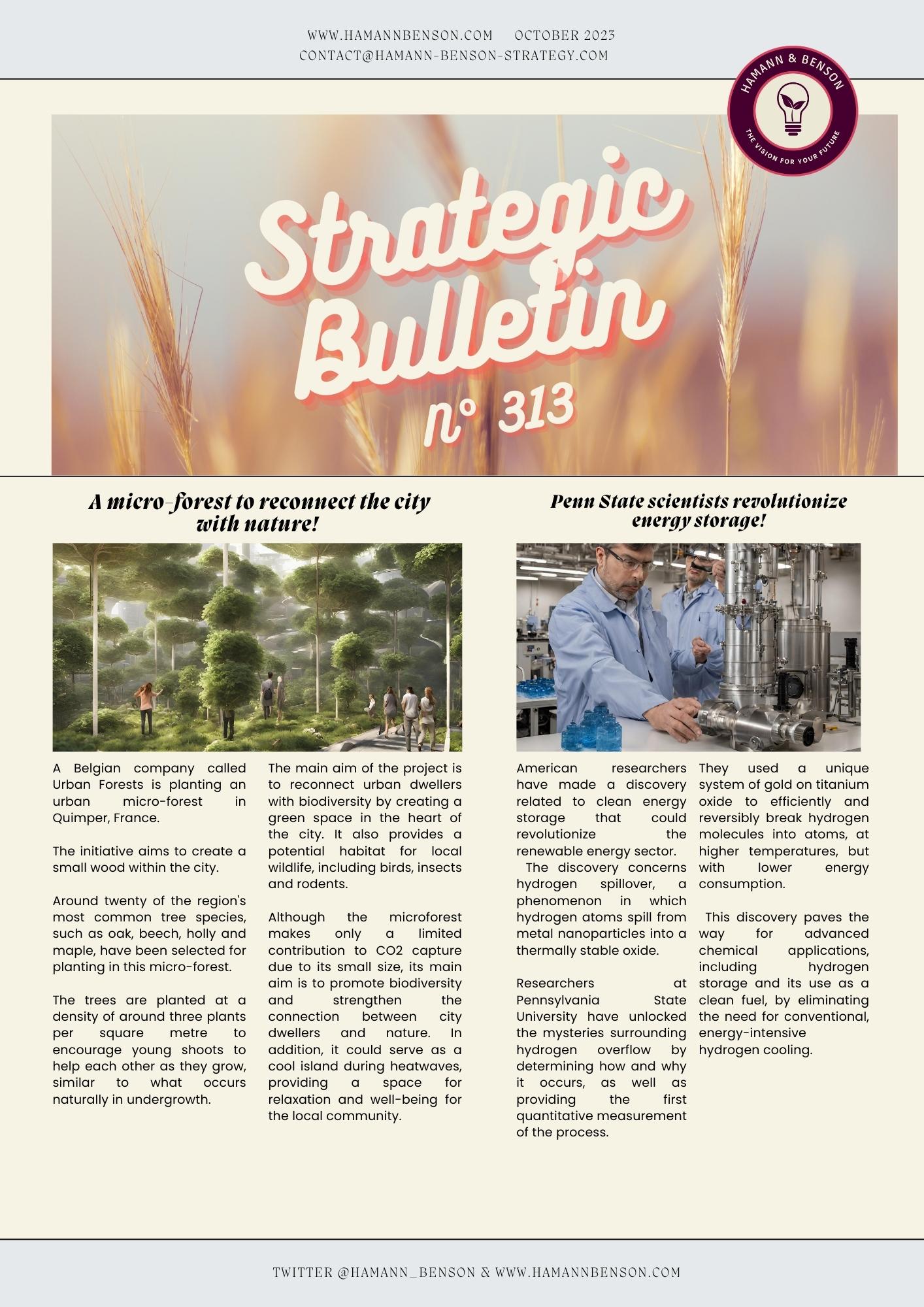 💥SB 313 🌳 Microforest to reconnect city and nature !