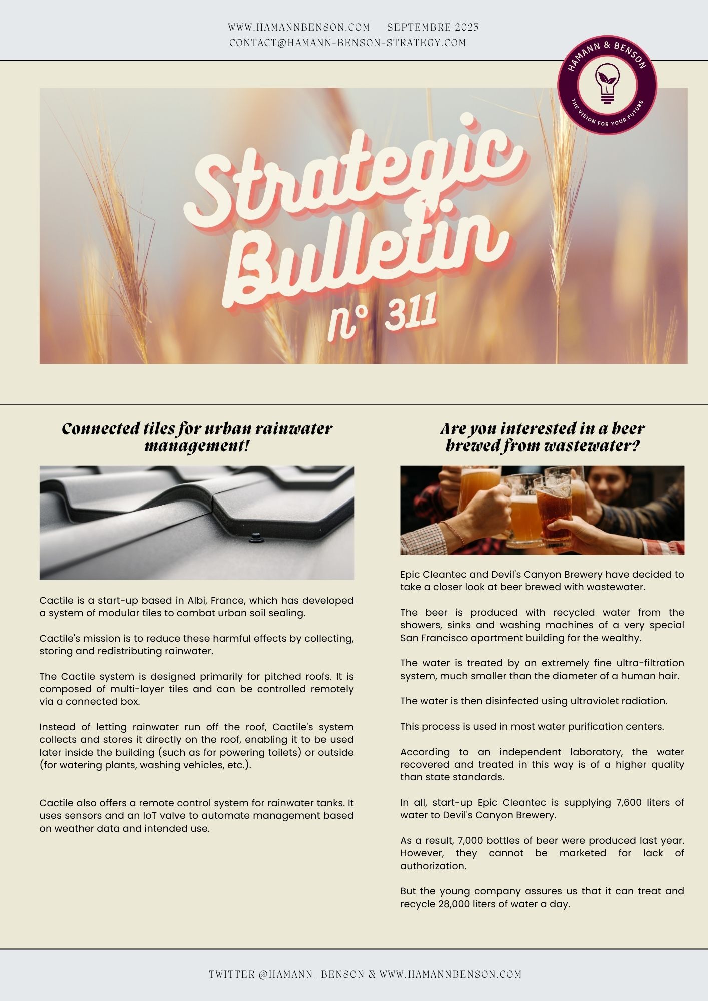 🚀Newsletter Strategic Bulletin n°311🌍