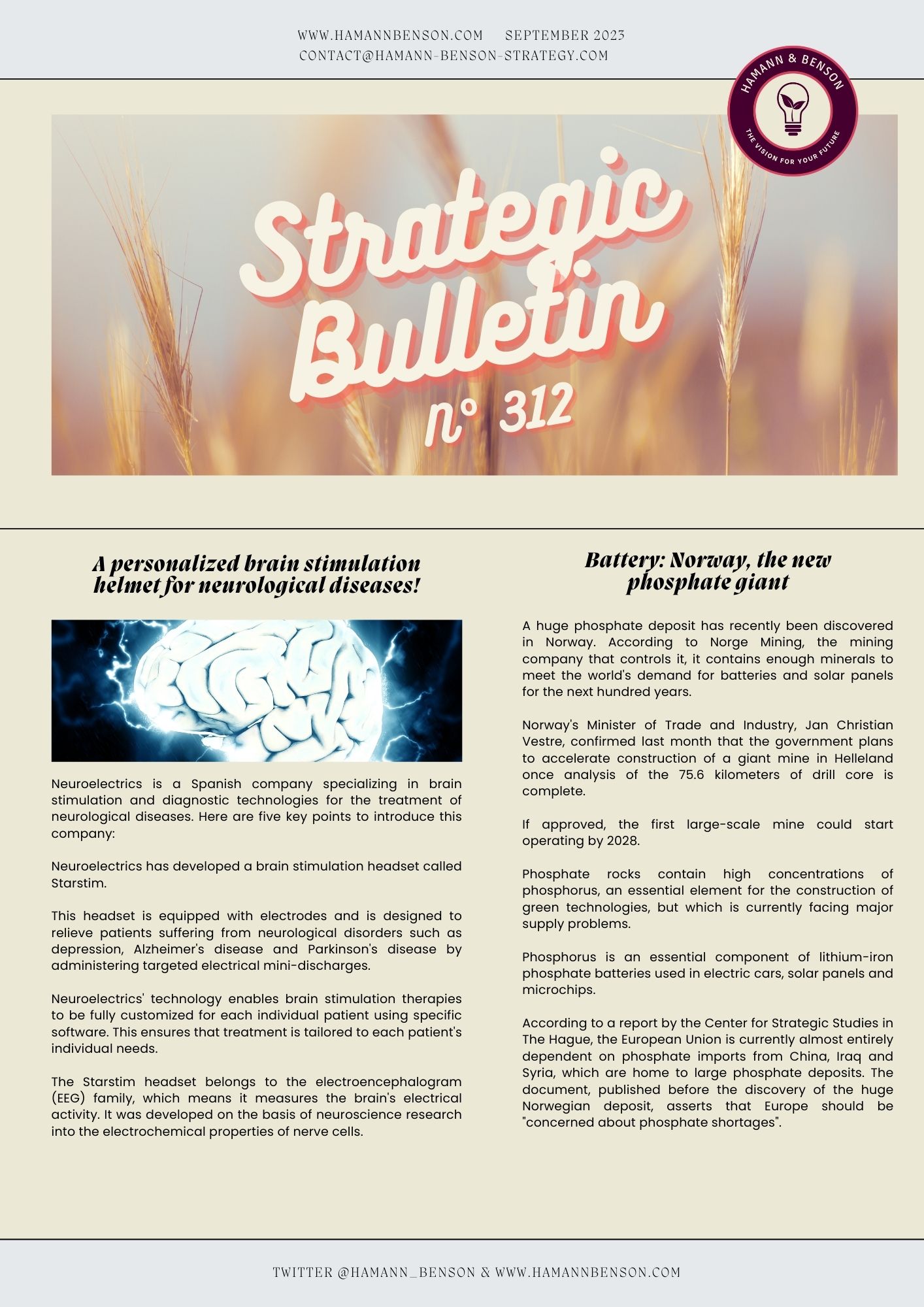 💡Newsletter Strategic Bulletin n°312 💥
